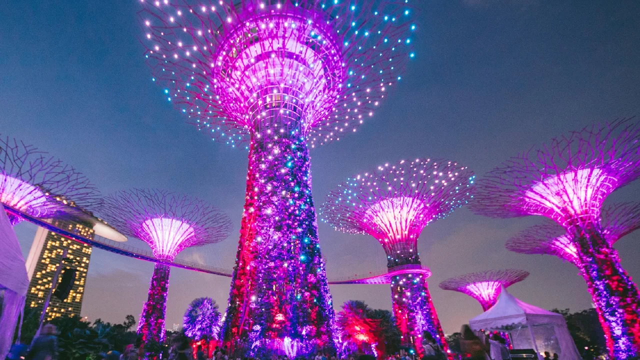 Các siêu cây tại Gardens by the Bay sáng rực trong đêm