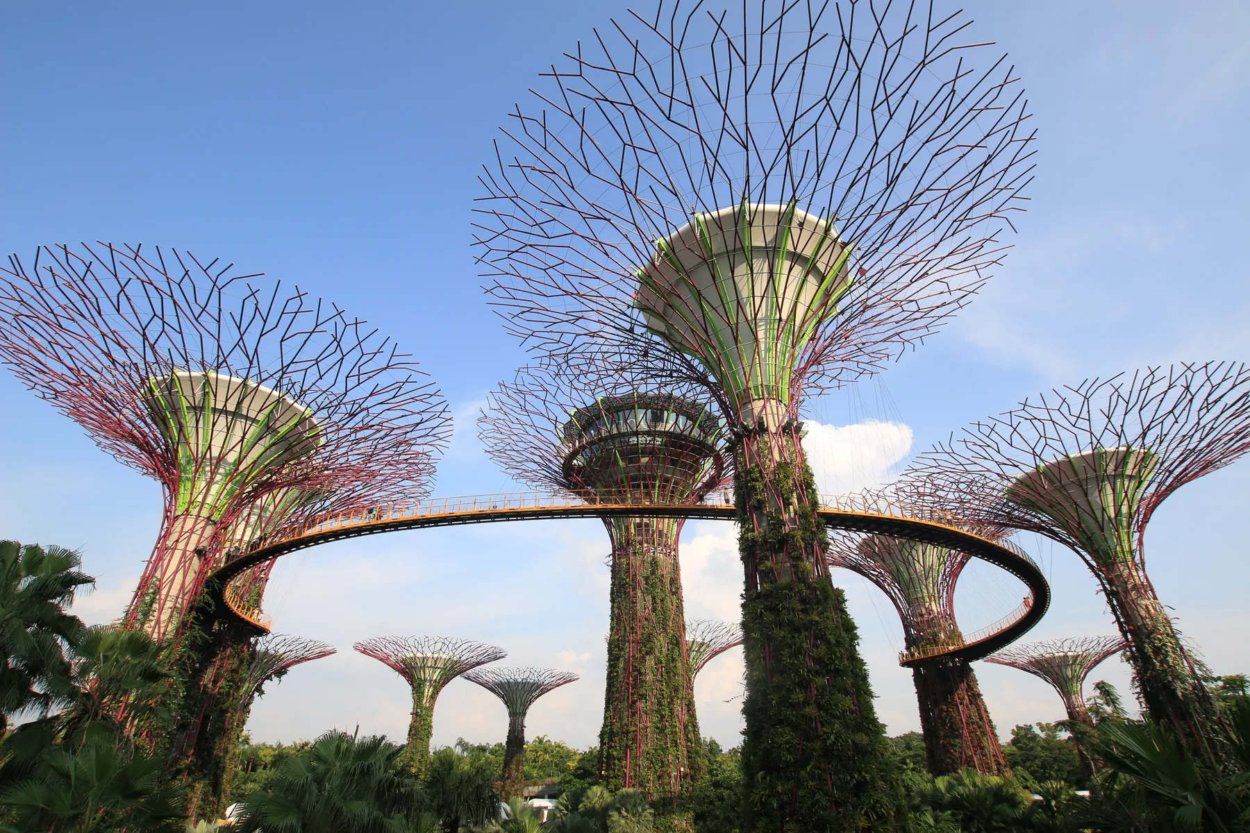 Những siêu cây và cầu đi bộ OCBC Skyway tại Gardens by the Bay